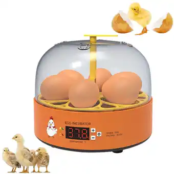 Walmart Chick Hatcher Small Household Mini Children's Hatcher Intelligent Hatcher Clearance offer
