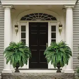 Walmart Fankiway Lifelike 1.96 Inches Artificial Boston Fern for Porch Window Home Decor offer