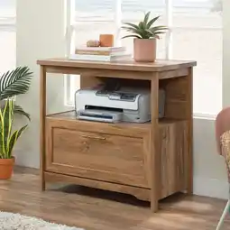 Walmart Sauder Coral Cape Lateral File Cabinet, Sindoori Mango Finish offer