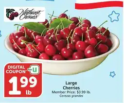 Vons Large Cherries offer