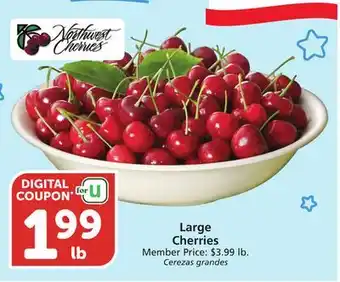 Vons Large Cherries offer