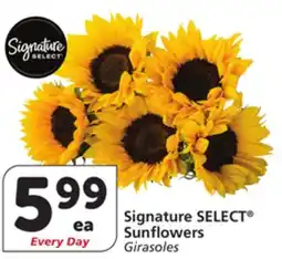 Vons Signature SELECT Sunflowers offer