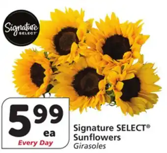 Vons Signature SELECT Sunflowers offer