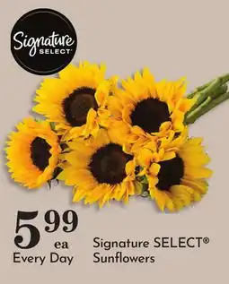 Pavilions Signature SELECT Sunflowers offer