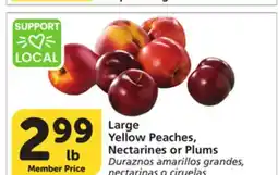Albertsons Large Yellow Peaches, Nectarines or Plums offer