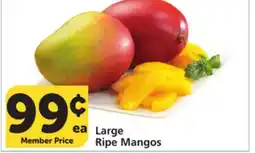Albertsons Large Ripe Mangos offer
