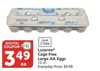 Albertsons Lucerne Cage Free Large AA Eggs offer