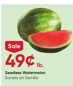 Stater Bros Seedless Watermelon offer