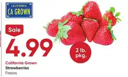 Stater Bros Strawberries offer