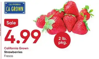 Stater Bros Strawberries offer