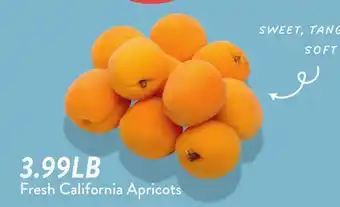 Fresh Thyme Fresh California Apricots offer