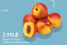 Fresh Thyme California Nectarines offer