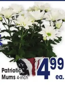 Jewel-Osco Patriotic Mums offer