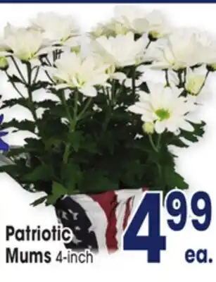 Jewel-Osco Patriotic Mums offer