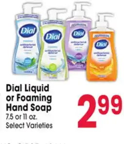 Jewel-Osco Dial Liquid or Foaming Hand Soap offer