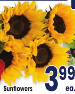 Jewel-Osco Sunflowers offer