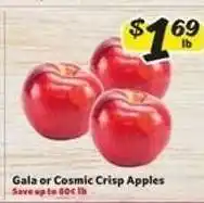 Winn Dixie Gala or Cosmic Crisp Apples offer