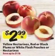 Winn Dixie Yellow Nectarines, Red or Black Plums or White Flesh Peaches or Nectarines offer