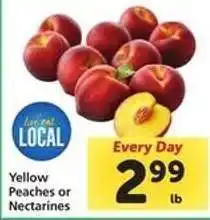 Safeway Yellow Peaches or Nectarines offer