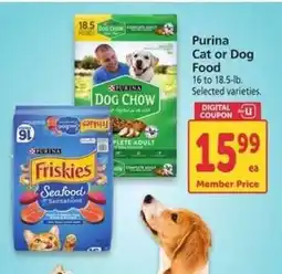 Safeway Purina Cat or Dog Food offer
