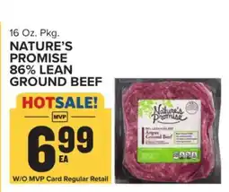 Food Lion Nature's Promise 86% Lean Ground Beef offer