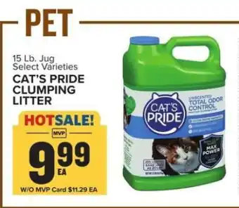 Food Lion Cat's Pride Clumping Litter offer