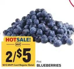 Food Lion Pint Blueberries offer