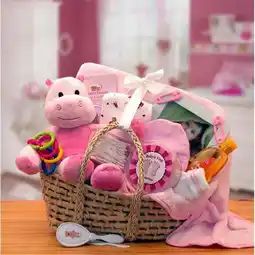 Walmart Gift Basket Drop Shipping 890193P Our Precious Baby Carrier, Pink - Small offer
