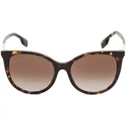 Walmart Burberry BE 4333 Plastic Womens Cat-Eye Sunglasses Havana 55mm Adult offer