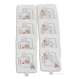 Walmart Training Pads (Pack with 4 Sets) offer
