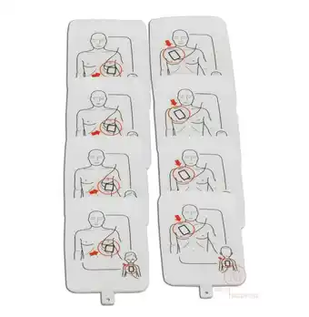 Walmart Training Pads (Pack with 4 Sets) offer