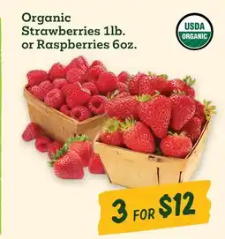 Sprouts Farmers Market Organic Strawberries 1lb. or Raspberries 6oz offer