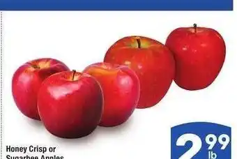 Albertsons Honey Crisp or Sugarbee Apples - Large Size offer