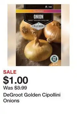 Tractor Supply Company DeGroot Golden Cipollini Onions offer
