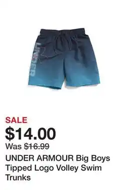 Marshalls UNDER ARMOUR Big Boys Tipped Logo Volley Swim Trunks offer
