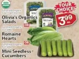 Associated Olivia's organics salads offer