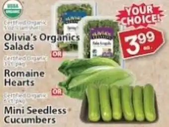 Associated Olivia's organics salads offer