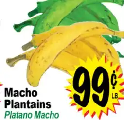 Superior Grocers Macho Plantains offer