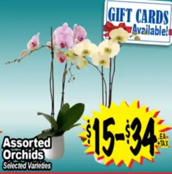 Superior Grocers Assorted Orchids offer