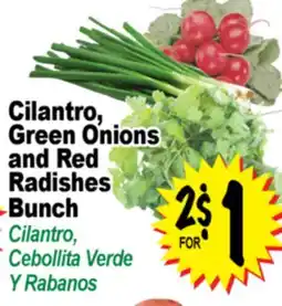 Superior Grocers Cilantro, Green Onions and Red Radishes Bunch offer