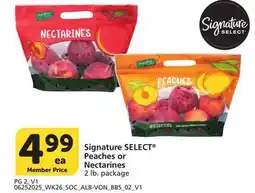 Albertsons Signature SELECT Peaches or Nectarines offer
