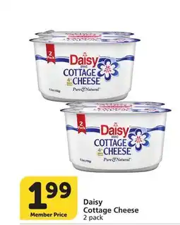 Albertsons Daisy Cottage Cheese offer