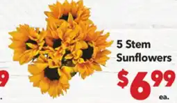 Vallarta Supermarkets 5 Stem Sunflowers offer