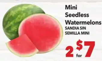 Vallarta Supermarkets Mini Seedless Watermelons / SANDIA SIN SEMILLA MINI offer