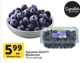 Vons Signature SELECT Blueberries offer