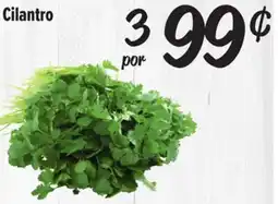 El Super Cilantro offer