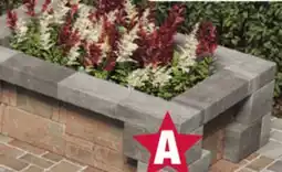 Menards Planter offer