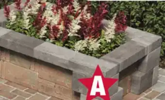 Menards Planter offer