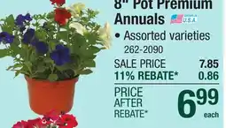 Menards 8 Pot Premium Annuals offer