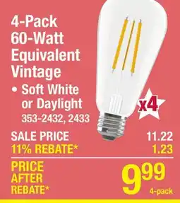 Menards 4-Pack 60-Watt Equivalent Vintage offer